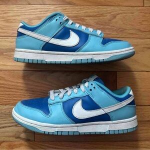 Nike Dunk Low Argon